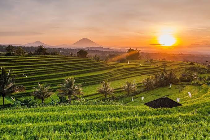 East Bali 1